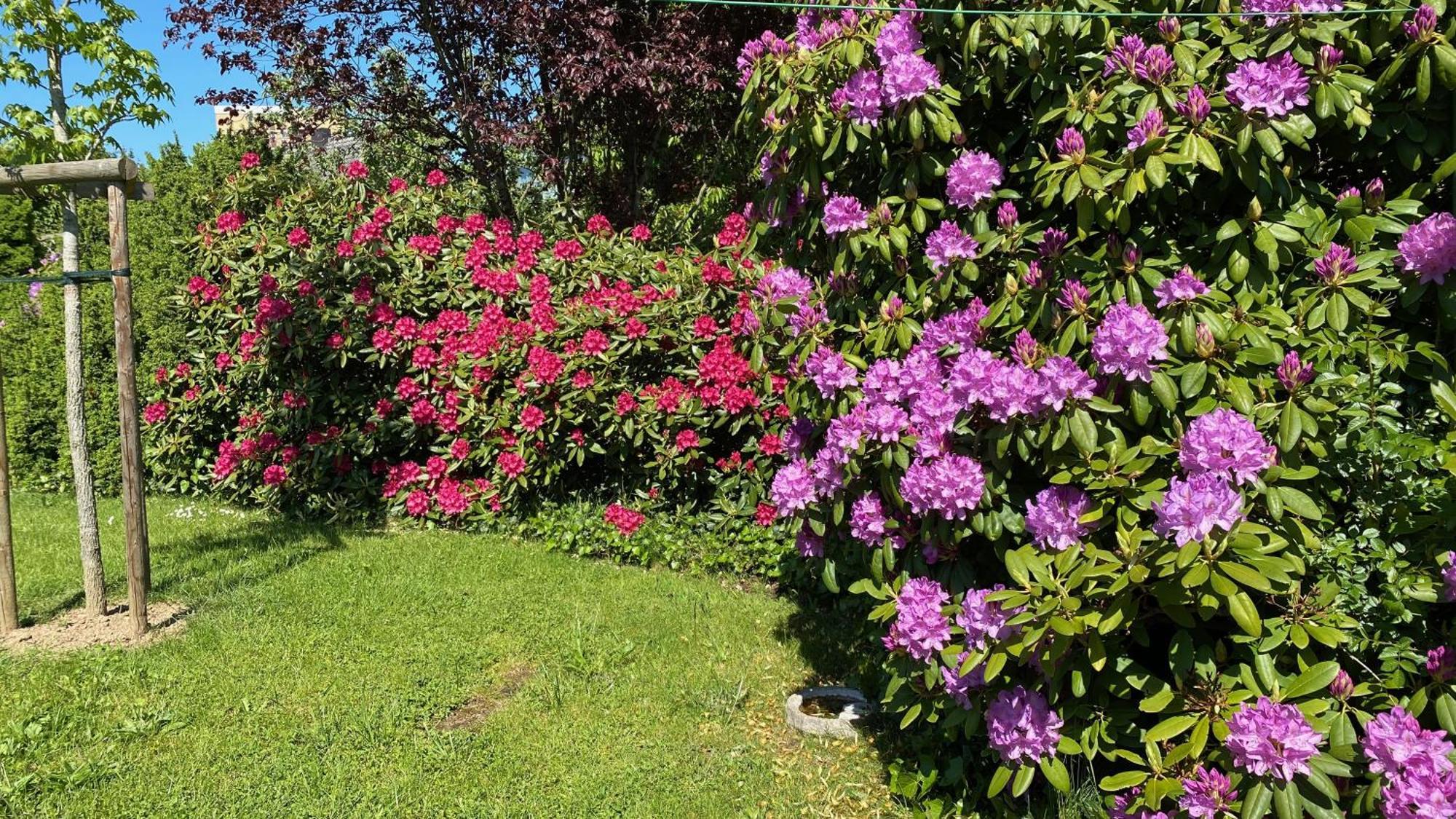 Lejlighed Haus Tulle - 2 Schnupp & Luette Mit Saisonstrandkorb